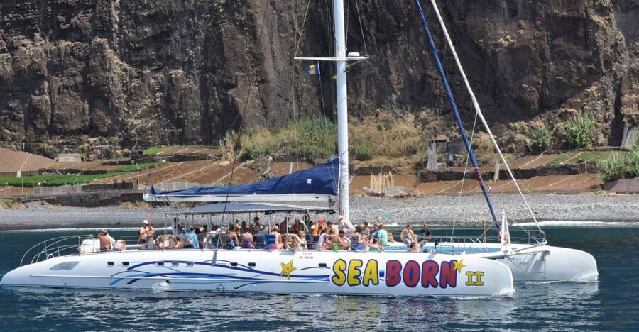Funchal: Dolphin and Whale Watching Catamaran Cruise - Is $41 good value?