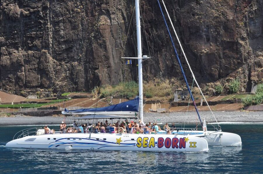 Funchal: Dolphin and Whale Watching Catamaran Cruise - Who should book this cruise?
