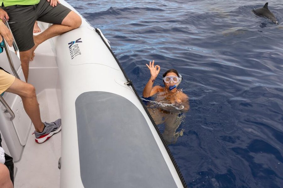 Funchal: RIB Whale Watching Cruise and Optional Dolphin Swim - A fast start from Funchal marina