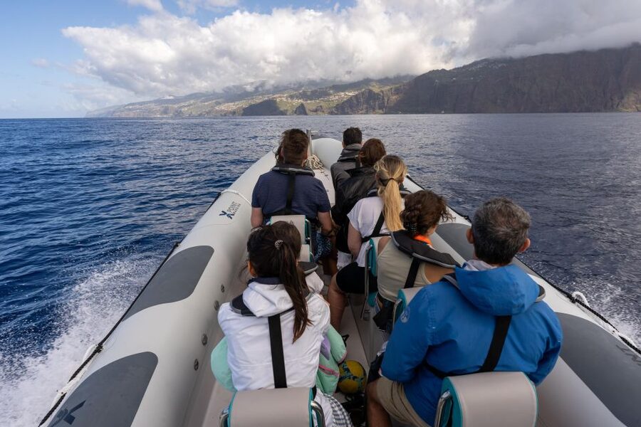 Funchal: RIB Whale Watching Cruise and Optional Dolphin Swim - What happens if you book the dolphin swim