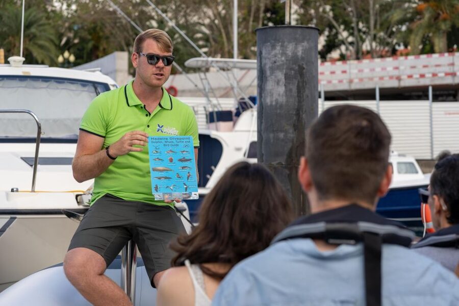 Funchal: RIB Whale Watching Cruise and Optional Dolphin Swim - Cabo Girão and the return along Madeira’s coast