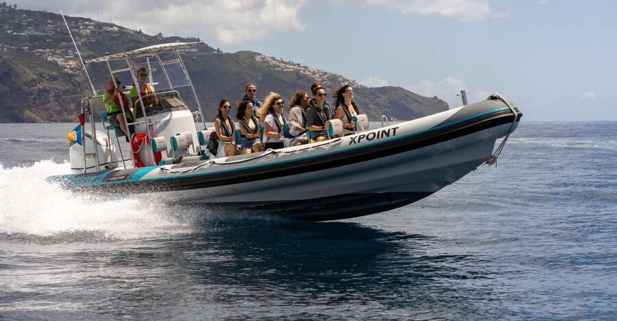 Funchal: RIB Whale Watching Cruise and Optional Dolphin Swim - Why the small RIB makes a difference
