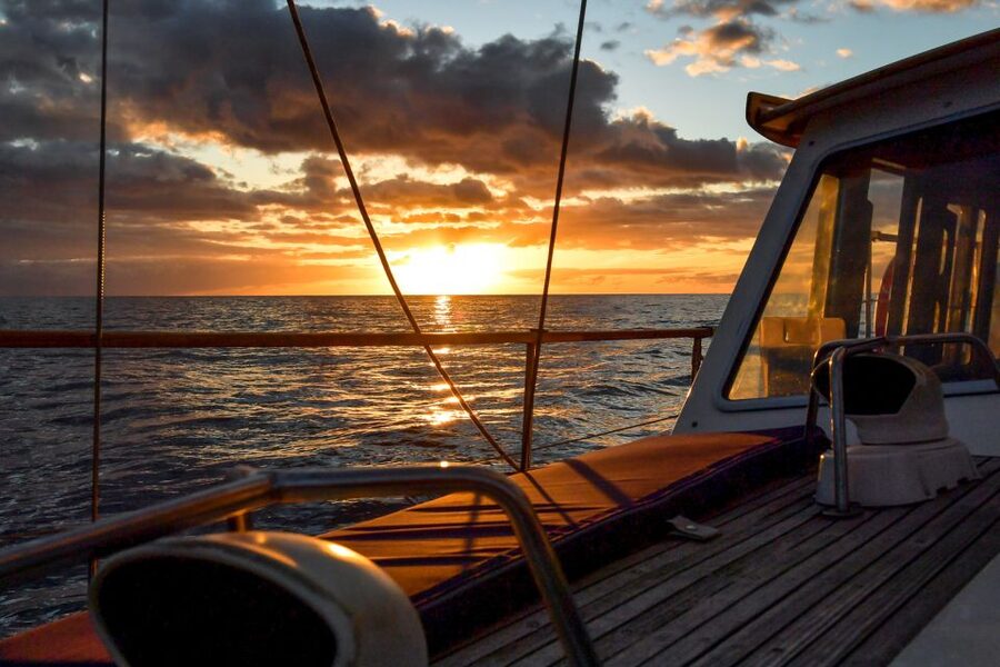 Funchal: Sunset Sailing Tour - Leaving Funchal Marina on a yacht for 20