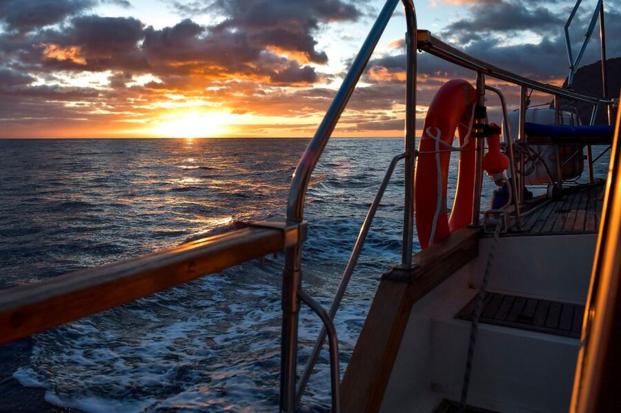 Funchal: Sunset Sailing Tour - Searching for dolphins and whales off Madeira