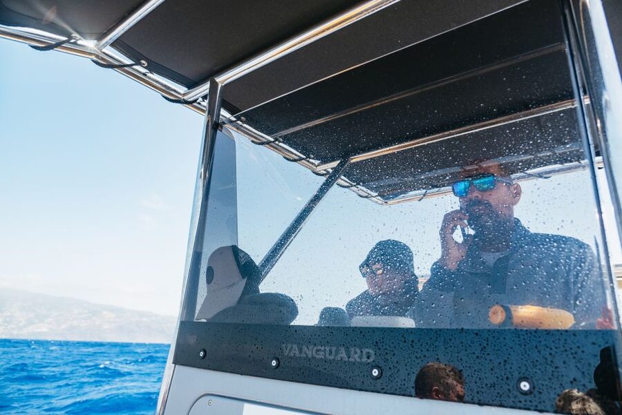 Funchal: Whale and Dolphin Watching Speed Boat Tour - Smart ways to get more from the outing