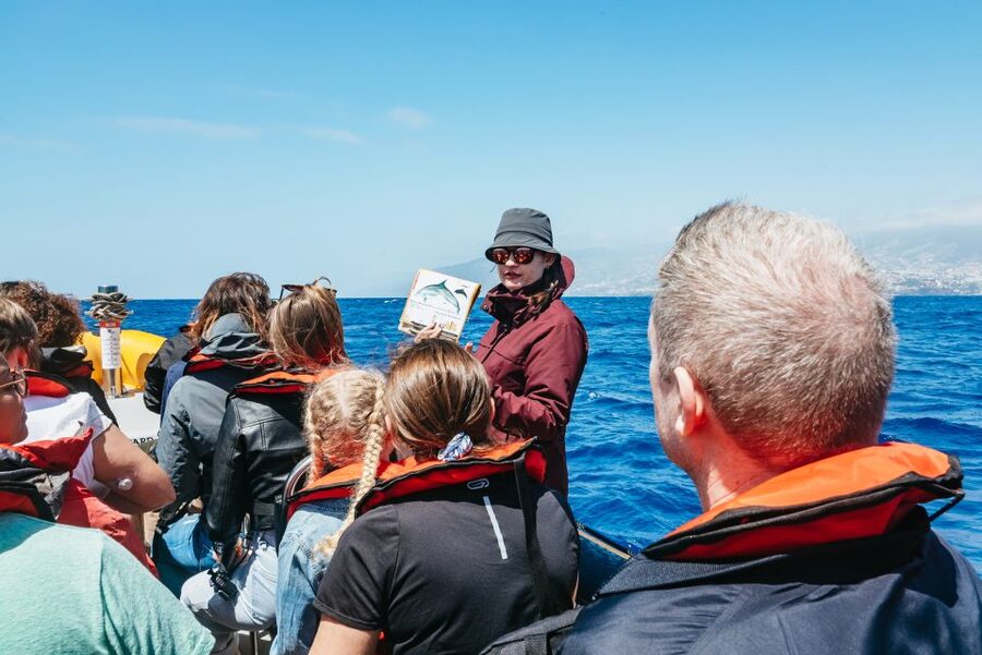 Funchal: Whale and Dolphin Watching Speed Boat Tour - Leaving Funchal Marina from Pier 8