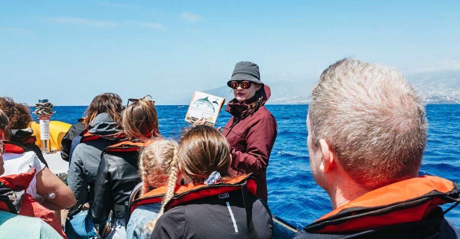 Funchal: Whale and Dolphin Watching Speed Boat Tour - Finding dolphins and whales with help from shore