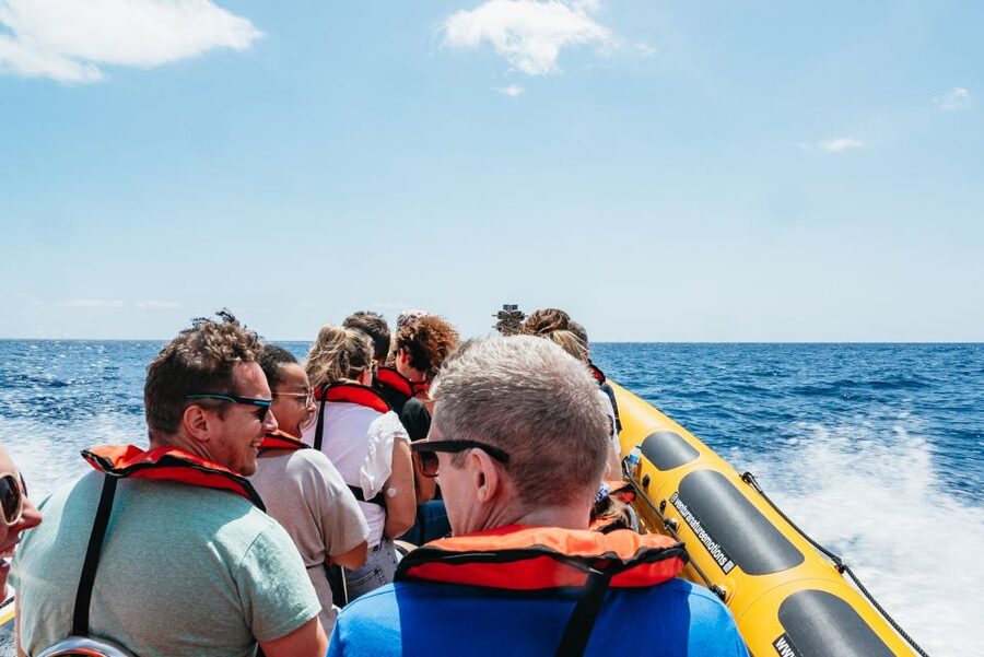 Funchal: Whale and Dolphin Watching Speed Boat Tour - The chance to see whales and pilot whales