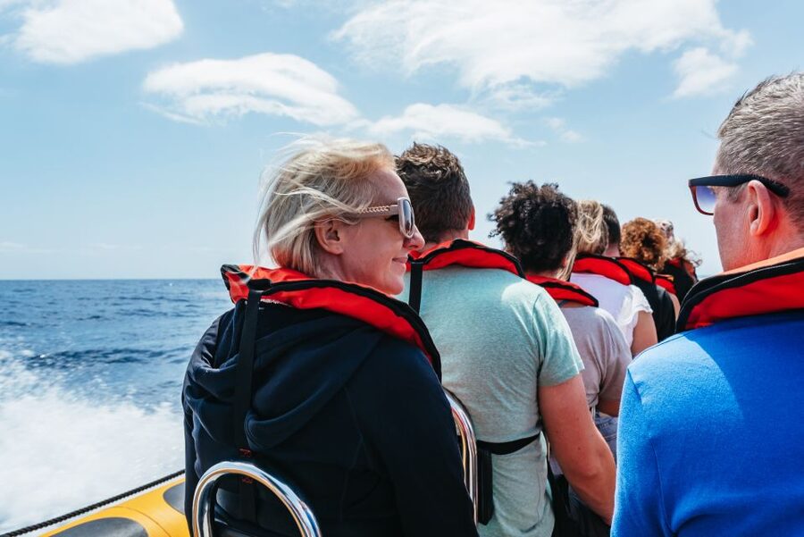 Funchal: Whale and Dolphin Watching Speed Boat Tour - A guide who adds more than simple identification