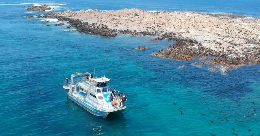 Gansbaai: Marine Big 5 Boat tour - The landing routine is simple and thoughtful