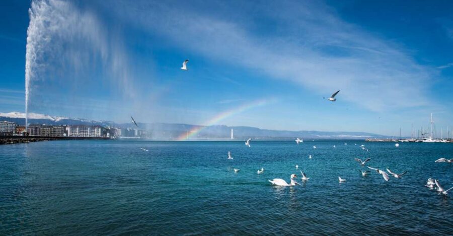Geneva: Scenic Lake Cruise with Snacks and Wine - Key points to know before you book