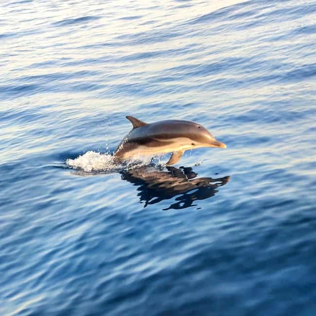 Giardini Naxos: Dolphin Searching Sunset Boat Tour - Lovers’ Cave and the smaller coastal caves