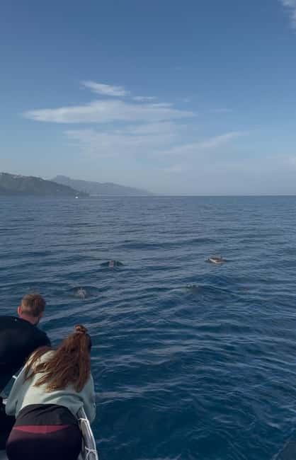 Giardini Naxos: Dolphin Searching Sunset Boat Tour - The Blue Grotto and Isola Bella
