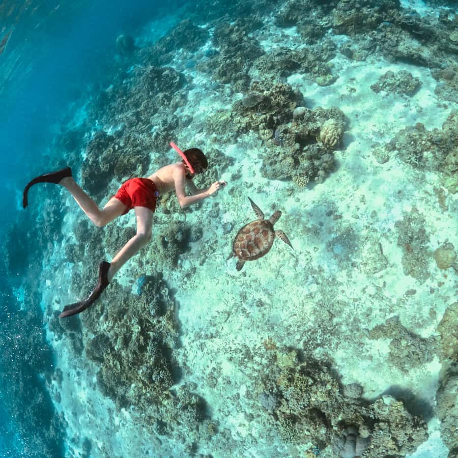 Gili Islands: Private or Shared Snorkeling Boat Trip - What this Gili Islands snorkeling trip is really like