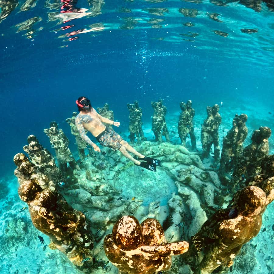 Gili Islands: Private or Shared Snorkeling Boat Trip - Turtle Paradise at Gili Meno