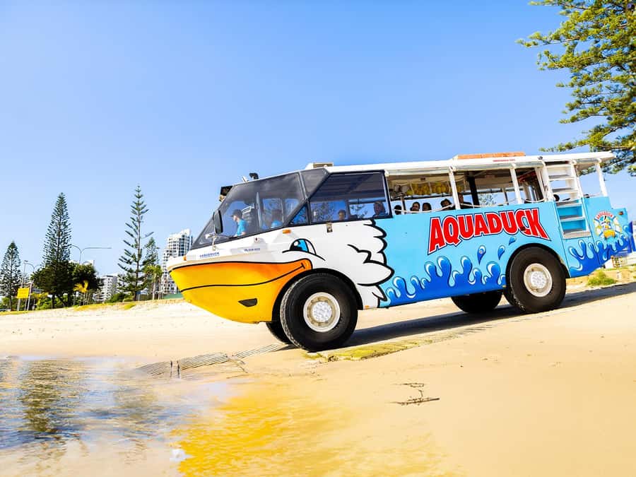 Gold Coast: 1-Hour Land and Water Duck Tour - The famous splashdown from bus to boat