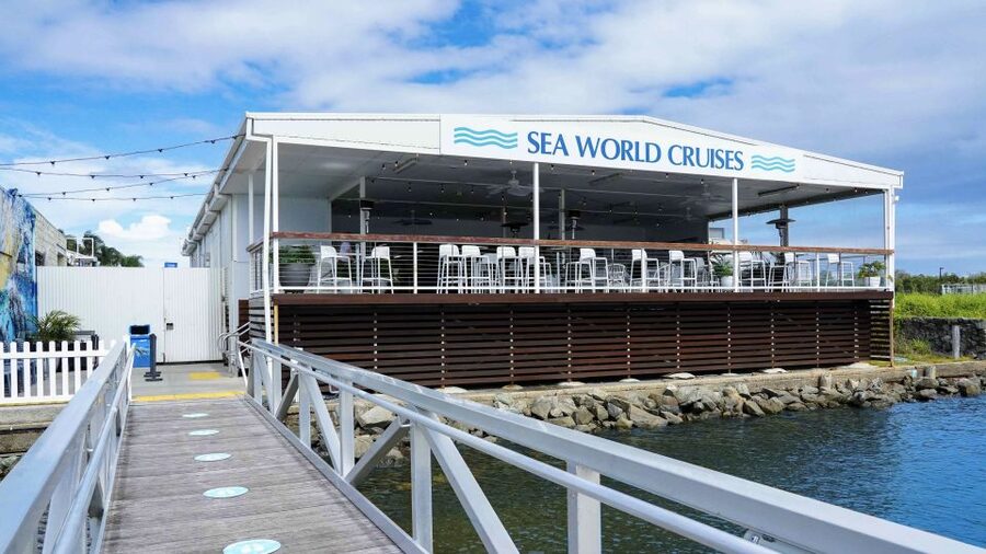Gold Coast: Premium Whale Watching Cruise - Who will enjoy this cruise most