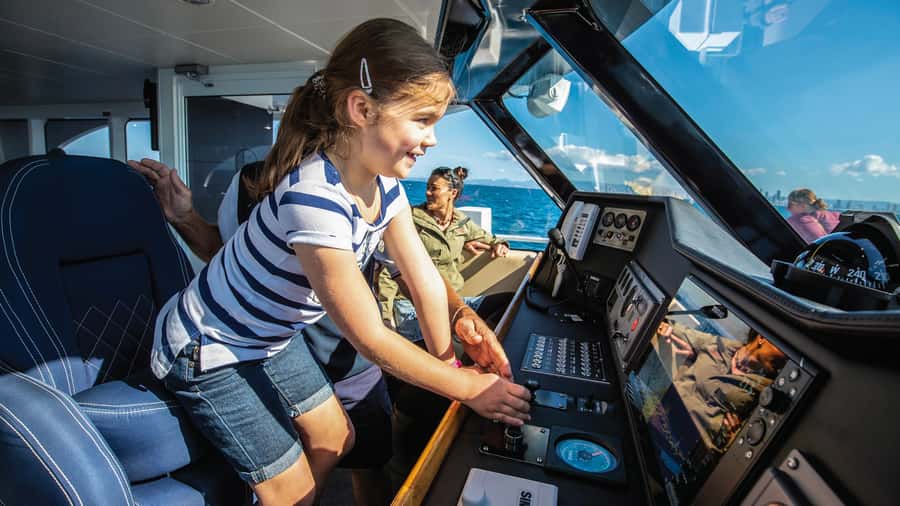 Gold Coast: Premium Whale Watching Cruise - Is $63 good value?