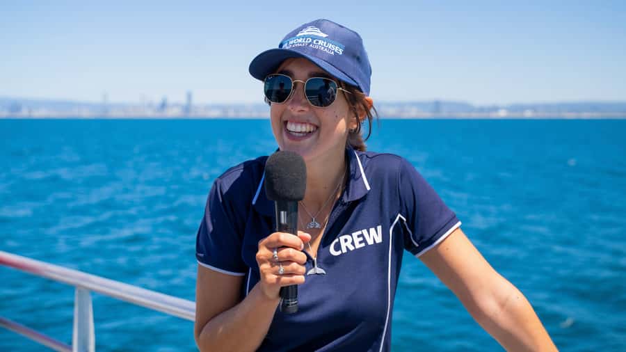 Gold Coast: Premium Whale Watching Cruise - The best time to choose your sailing