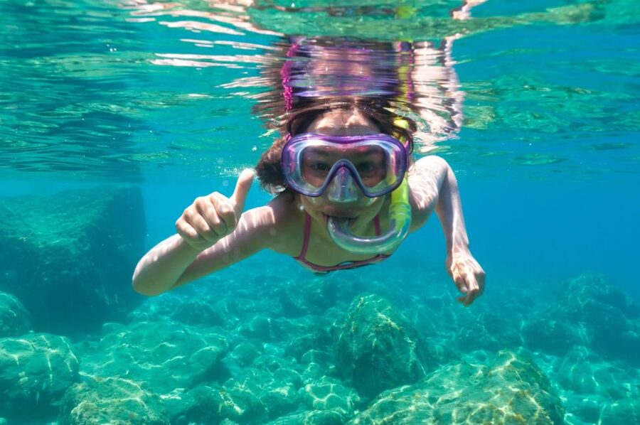 Golfo Aranci: Dolphin Watching and Snorkeling Boat Tour - Learning about bottlenose dolphins