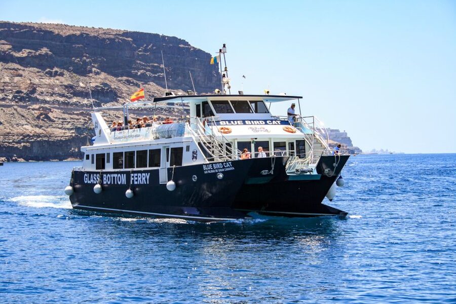 Gran Canaria: Catamaran Dolphin Watch Cruise with Snorkeling - Key points to know before you go