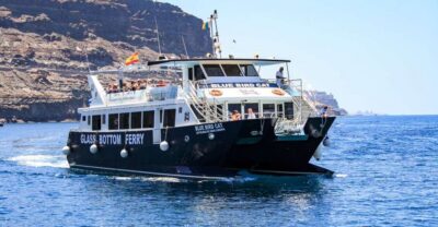 Catamaran Dolphin Watch Cruise with Snorkeling