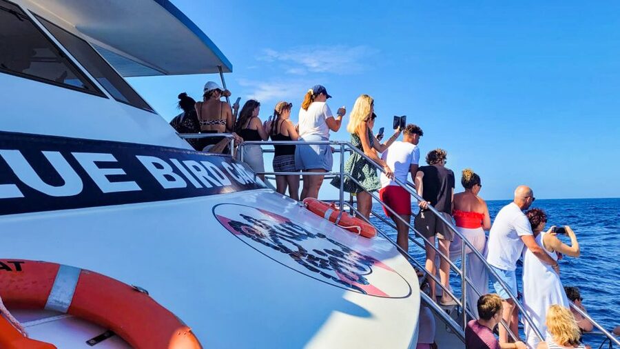 Gran Canaria: Catamaran Dolphin Watch Cruise with Snorkeling - The swim stop near Taurito