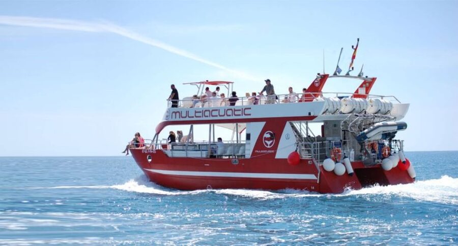 Gran Canaria: Dolphin and Whale Watching Cruise - The first minutes at sea