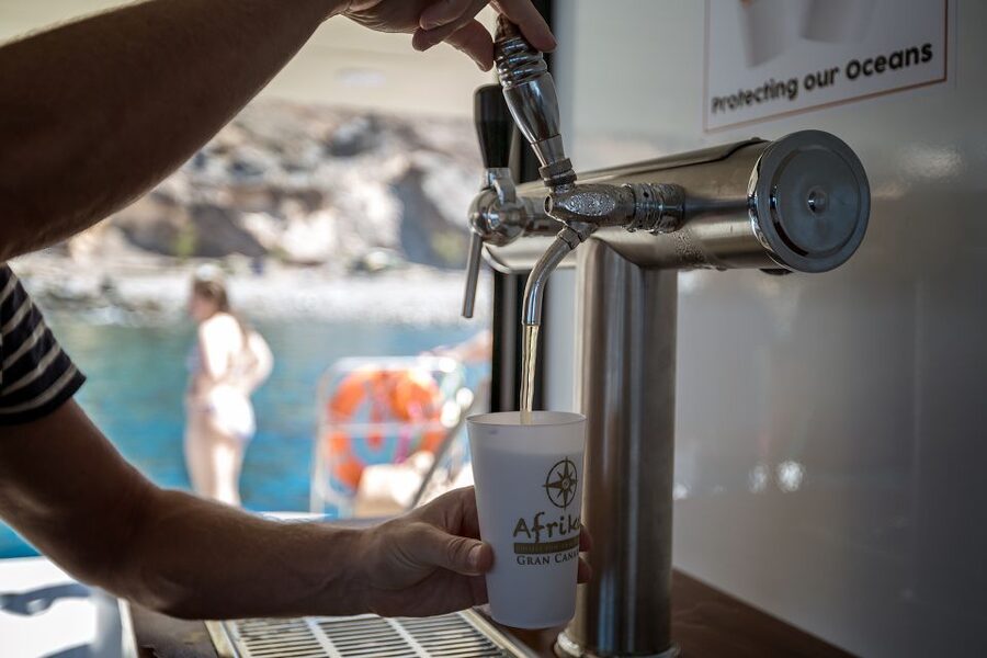Gran Canaria: Fun Catamaran Cruise with Food and Drinks - Is the $88 price good value?