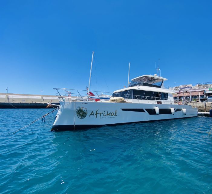 Gran Canaria: Fun Catamaran Cruise with Food and Drinks - The Mogán bay stop is the heart of the day