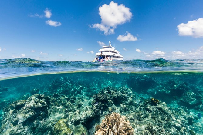 Great Barrier Reef Snorkeling and Diving Cruise from Cairns - Quick reasons to choose this reef cruise
