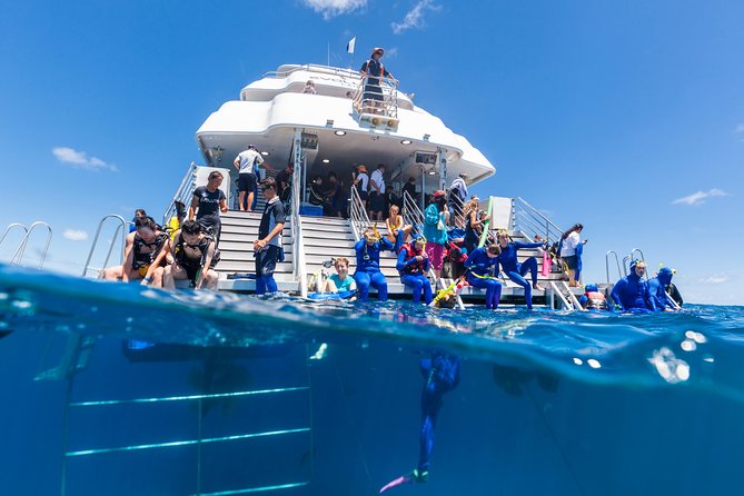 Great Barrier Reef Snorkeling and Diving Cruise from Cairns - Setting out from Cairns at 8 a.m.