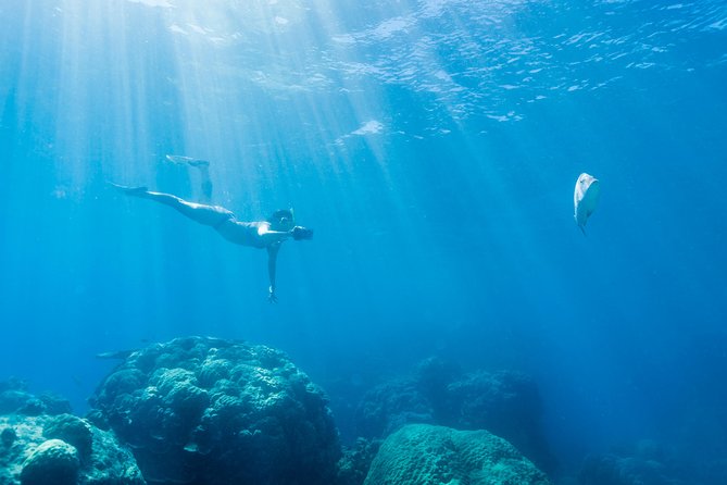 Great Barrier Reef Snorkeling and Diving Cruise from Cairns - What the price includes at $190.07