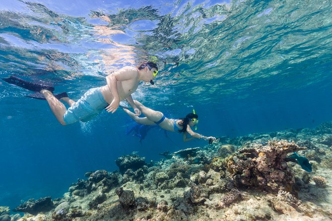 Great Barrier Reef Snorkeling and Diving Cruise from Cairns - Who will enjoy this day most
