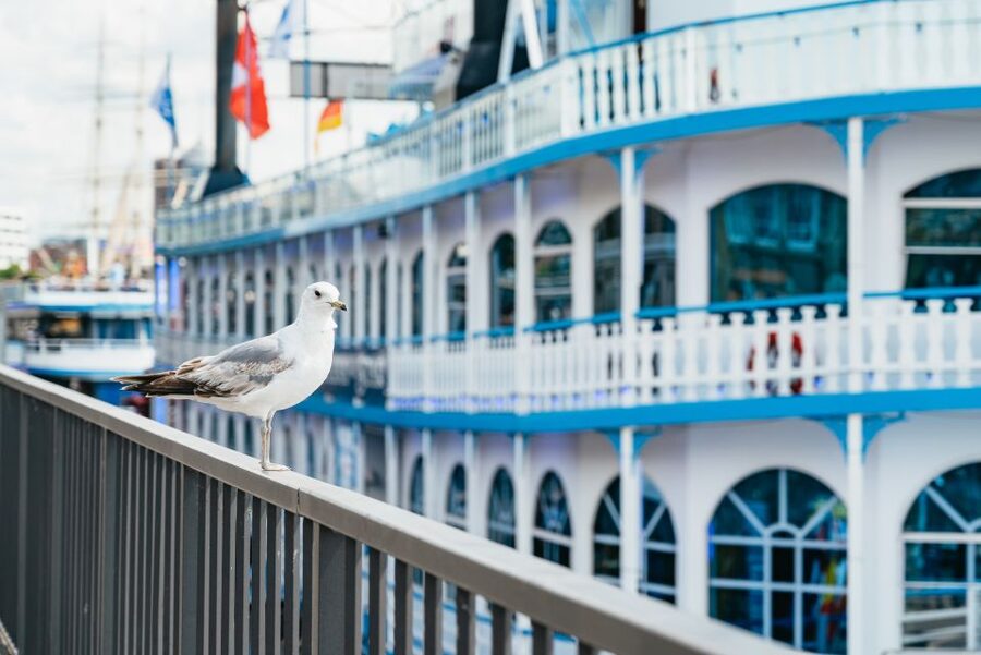 Hamburg: 1-Hour Harbor Sightseeing Cruise with HafenCity - Starting at St. Pauli Landing Stages