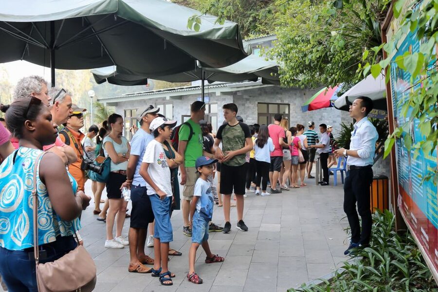 Hanoi: Islands & Caves Ha Long Cruise with Lunch & Kayaking - Thien Cung Cave and its large chambers