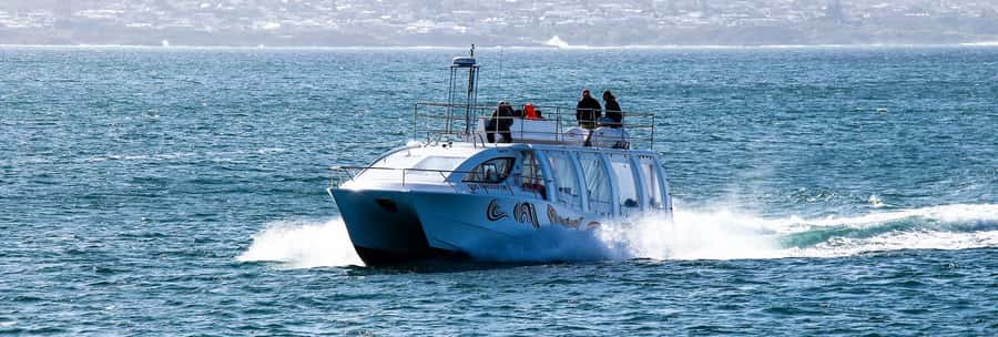 Hermanus: Boat Based Whale Watching Experience - Whale watching rewards patience