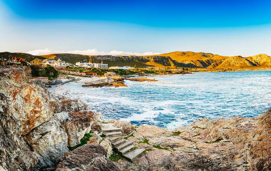 Hermanus: Whale and Dolphin Watching Boat Trip - Crew service, safety, and the optional video