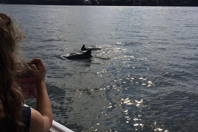 Hilton Head Island Dolphin Boat Cruise - Who will enjoy this Hilton Head cruise