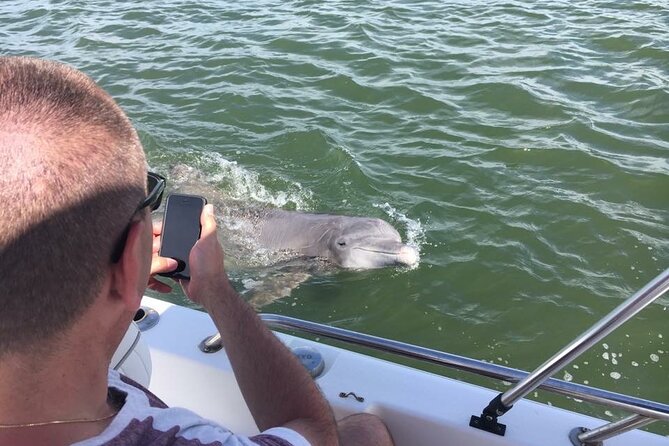 Hilton Head Island Dolphin Boat Cruise - Weather, cancellations, and planning details