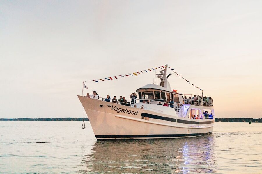 Hilton Head Island: Sunset Dolphin Cruise - From Harbour Town Pier to the open water