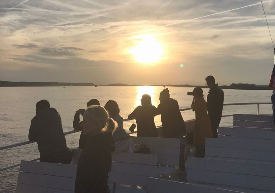Hilton Head Island: Sunset Dolphin Cruise - What the captain adds to the cruise