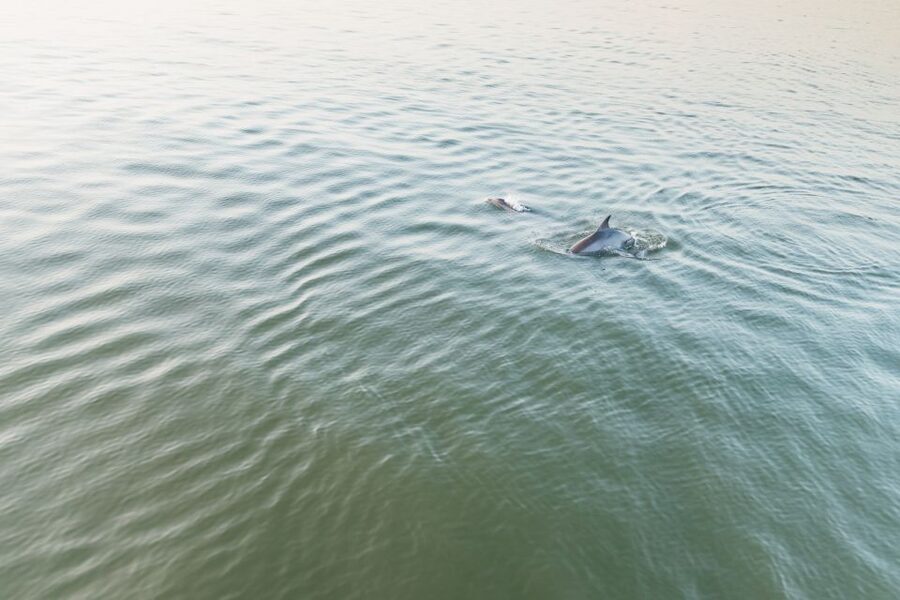 Hilton Head Island: Sunset Dolphin Cruise - Seating, wind, and comfort on the Vagabond