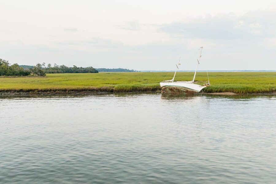 Hilton Head Island: Sunset Dolphin Cruise - Tips for getting the best view
