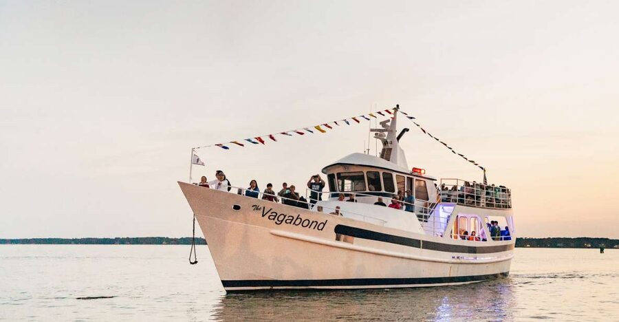 Hilton Head Island: Sunset Dolphin Cruise - Finding Atlantic bottlenose dolphins near Hilton Head
