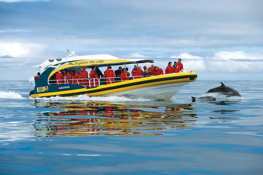 Hobart: Bruny Island Wilderness Coast Eco Cruise with Lunch - Morning Tea at Adventure Bay