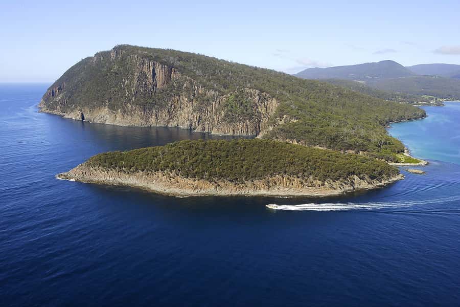 Hobart: Bruny Island Wilderness Coast Eco Cruise with Lunch - The Three-Hour Wilderness Cruise