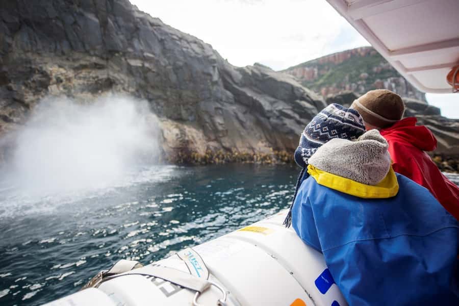 Hobart: Bruny Island Wilderness Coast Eco Cruise with Lunch - The Neck and Bruny’s Island Roads