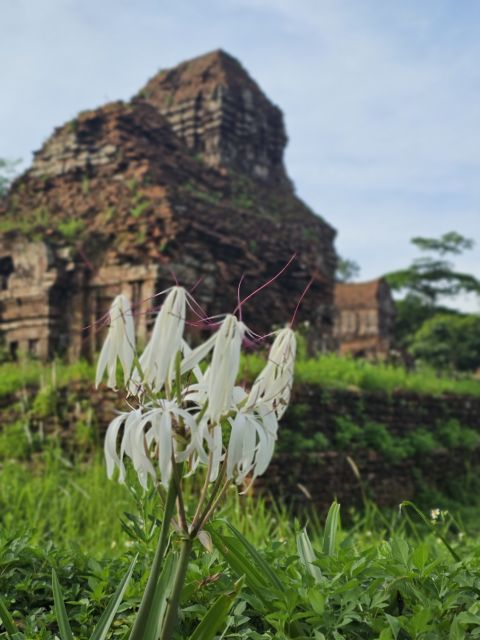 Hoi An: My Son Sanctuary & Sunset River Cruise BBQ or Banhmi - The 40-minute drive to the pier