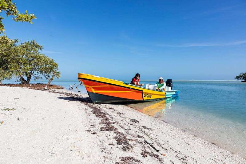 Holbox: Yum Balam Reserve Classic Boat Tour - What the guides add to the outing